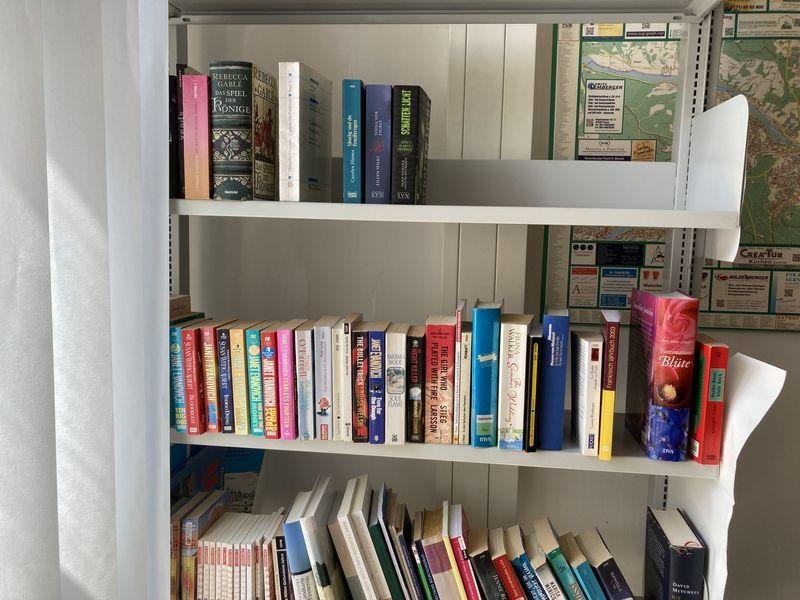 Bücher im offenen Bücherregal einsortiert