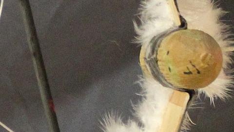 K-V&ouml;gel